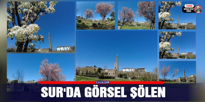 Suriçi'nde görsel şölen