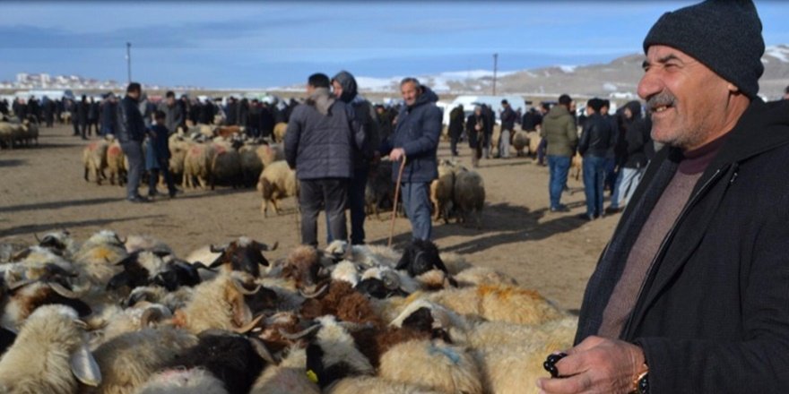 Van’da canlı hayvan pazarı kapatıldı