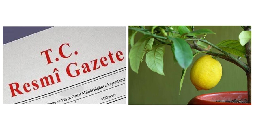 Limon ihracatı resmi gazetede