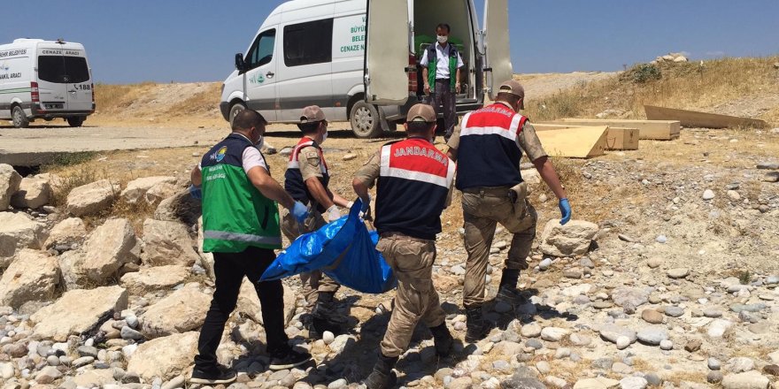 Van Gölü’nden çıkarılan ceset sayısı 59’a yükseldi