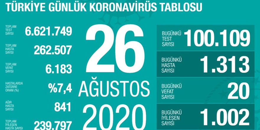 Türkiye'nin günlük Coronavirus tablosu: Bin 313 yeni tanı konuldu