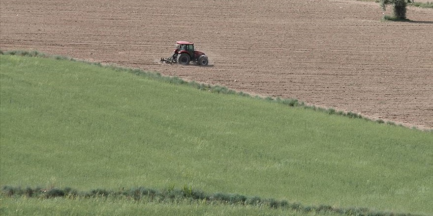 Hazineye ait tarım arazileri, çiftçilere kiralanacak