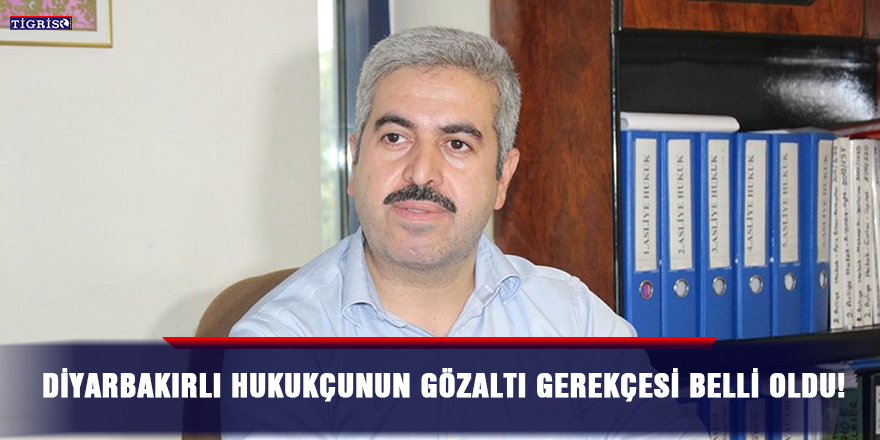 Diyarbakırlı hukukçunun gözaltı gerekçesi belli oldu!