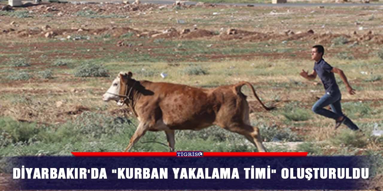 Diyarbakır'da "kurban yakalama timi" oluşturuldu