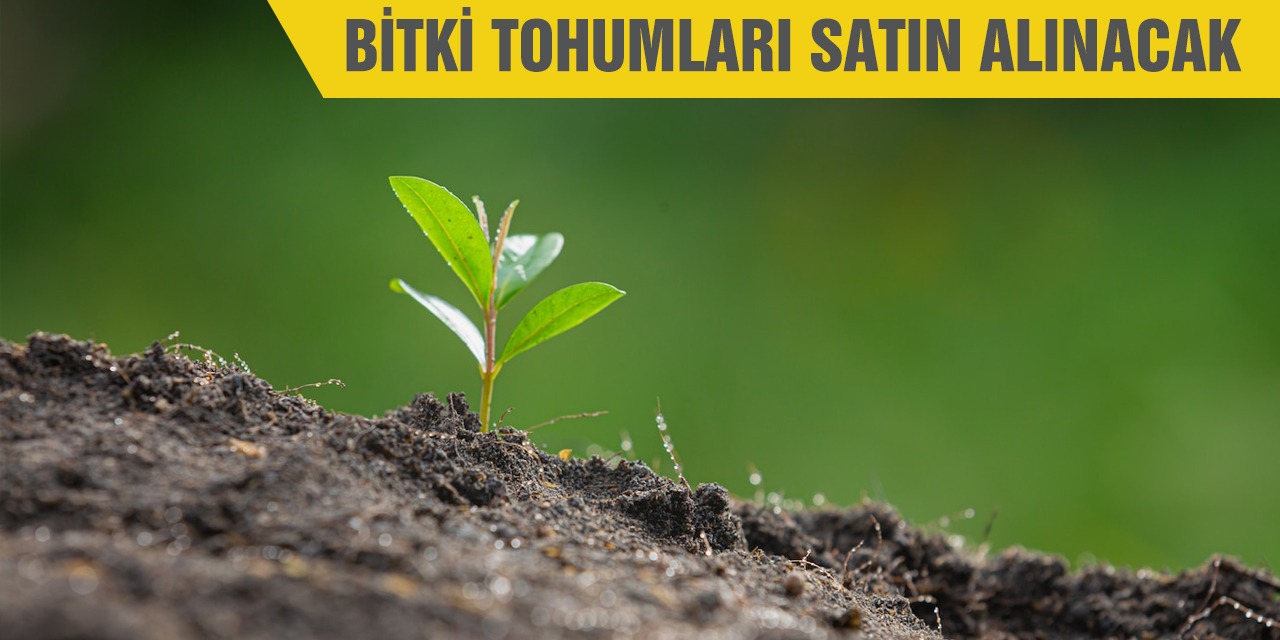 Bitki tohumları satın alınacak