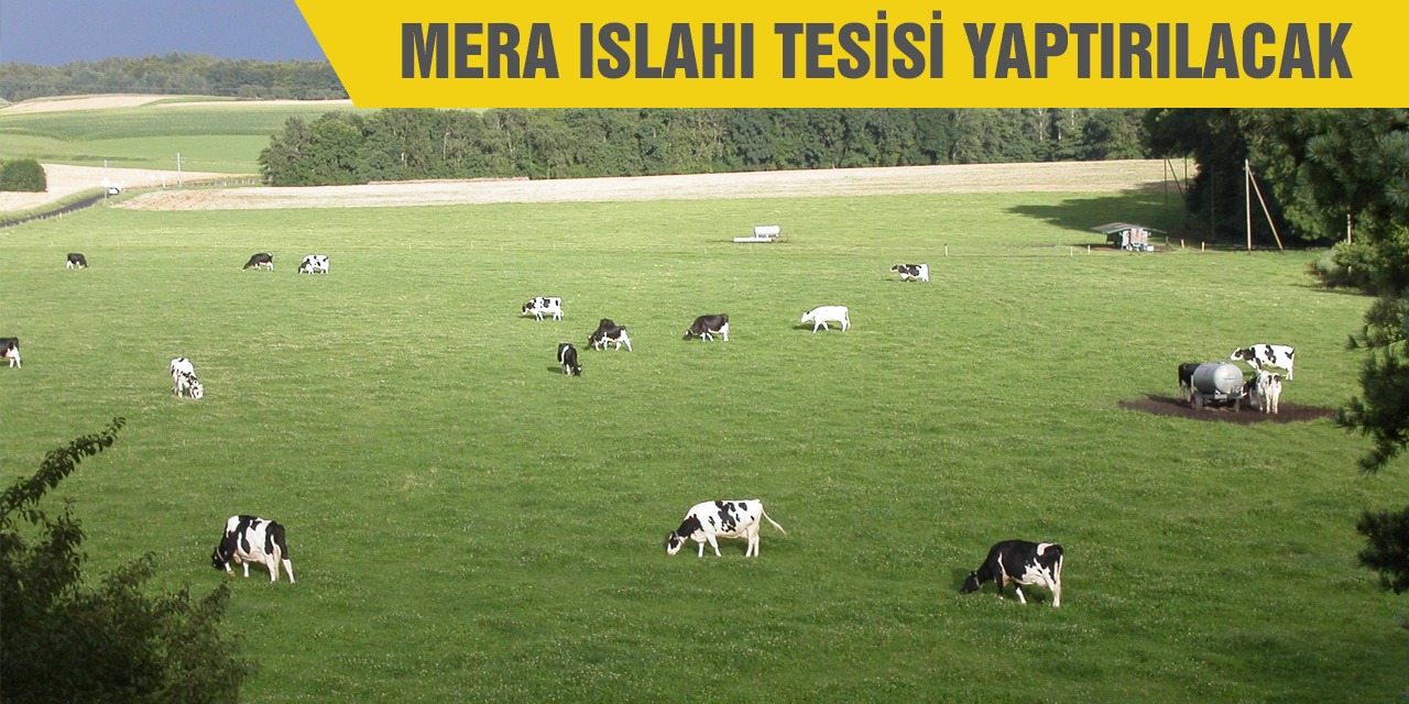 Mera ıslahı tesisi yaptırılacak