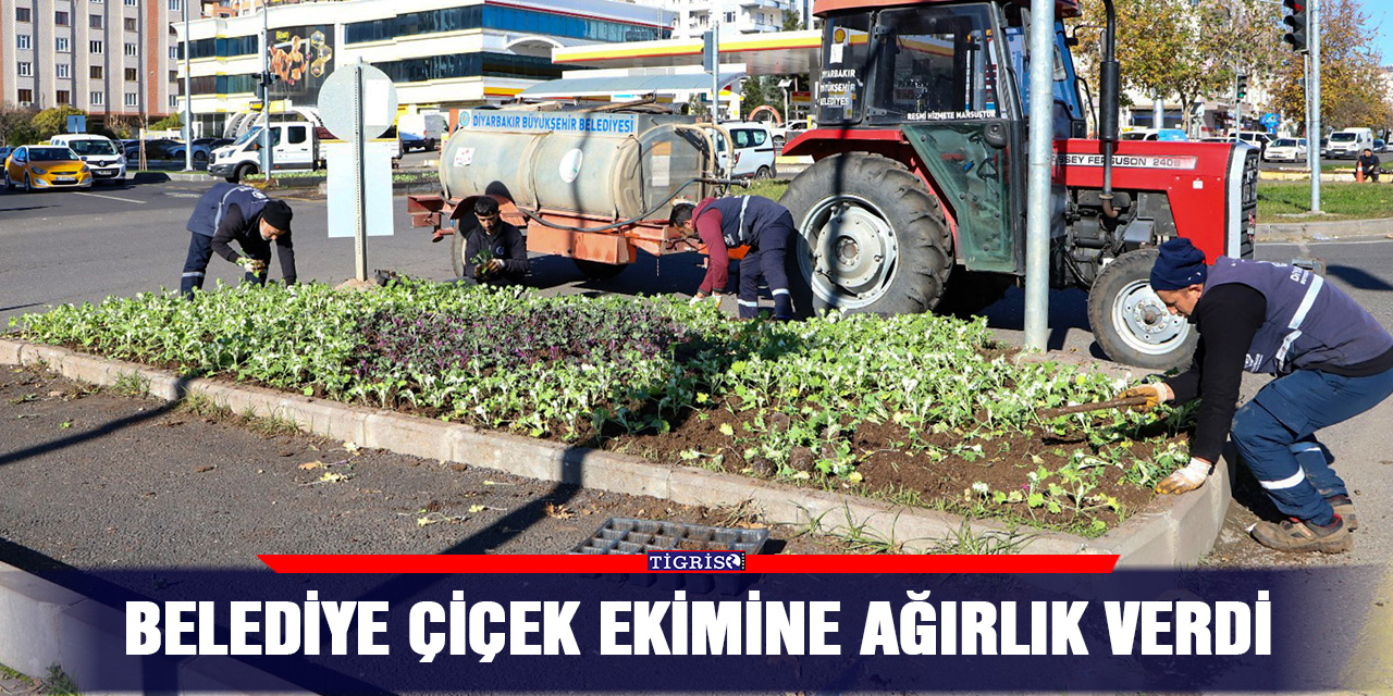 Belediye çiçek ekimine ağırlık verdi