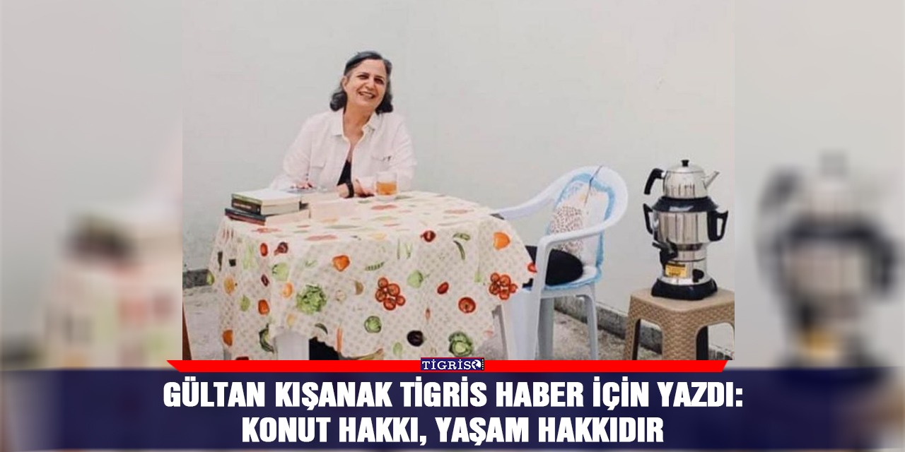 Gültan Kışanak Tigris Haber için yazdı:  Konut hakkı, yaşam hakkıdır