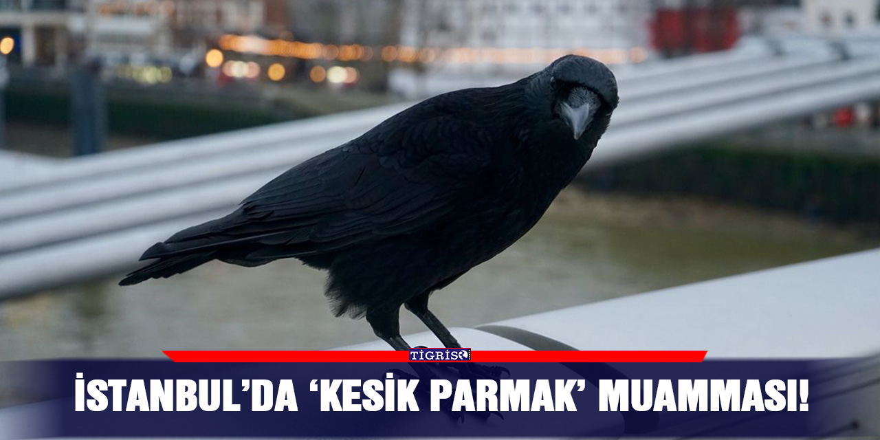 İstanbul’da ‘kesik parmak’ muamması!