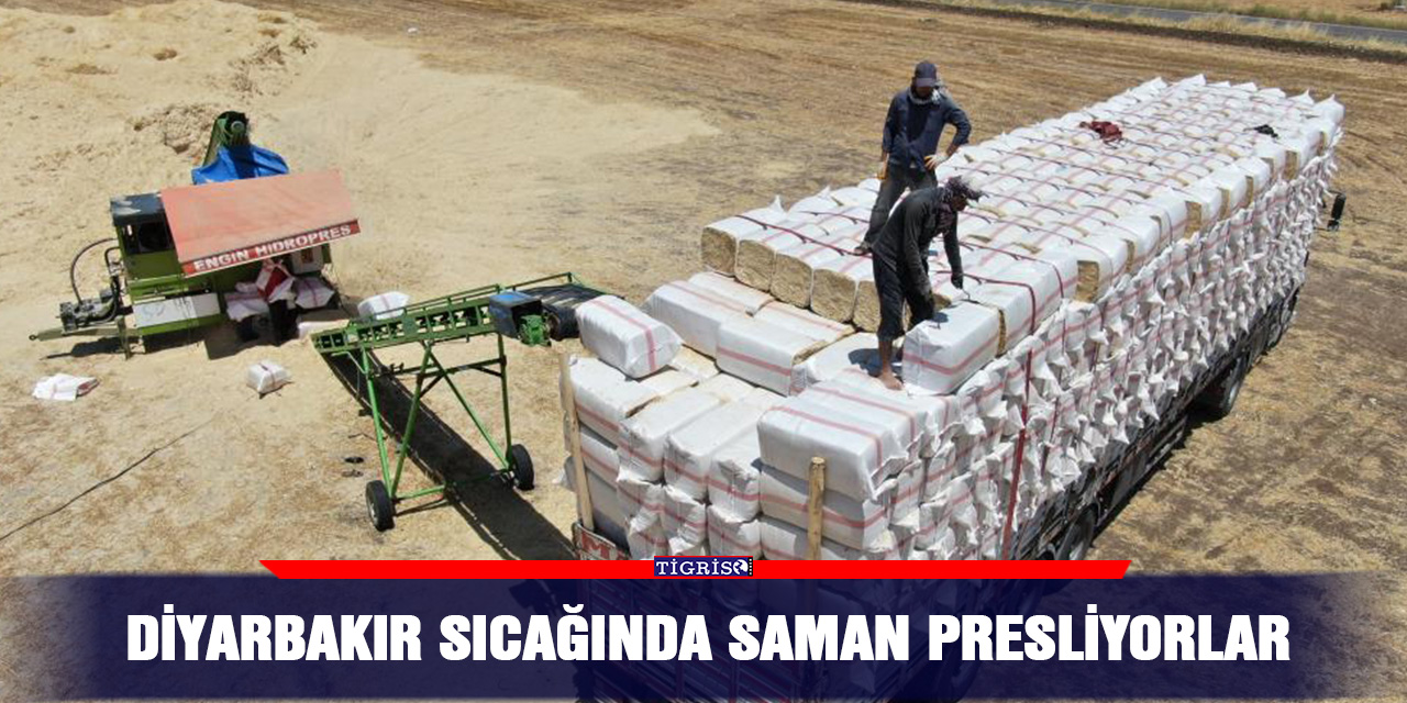 VİDEO - Diyarbakır sıcağında saman presliyorlar