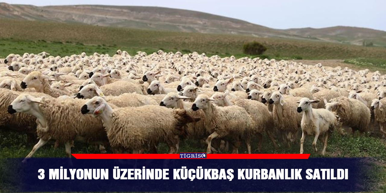 3 milyonun üzerinde küçükbaş kurbanlık satıldı