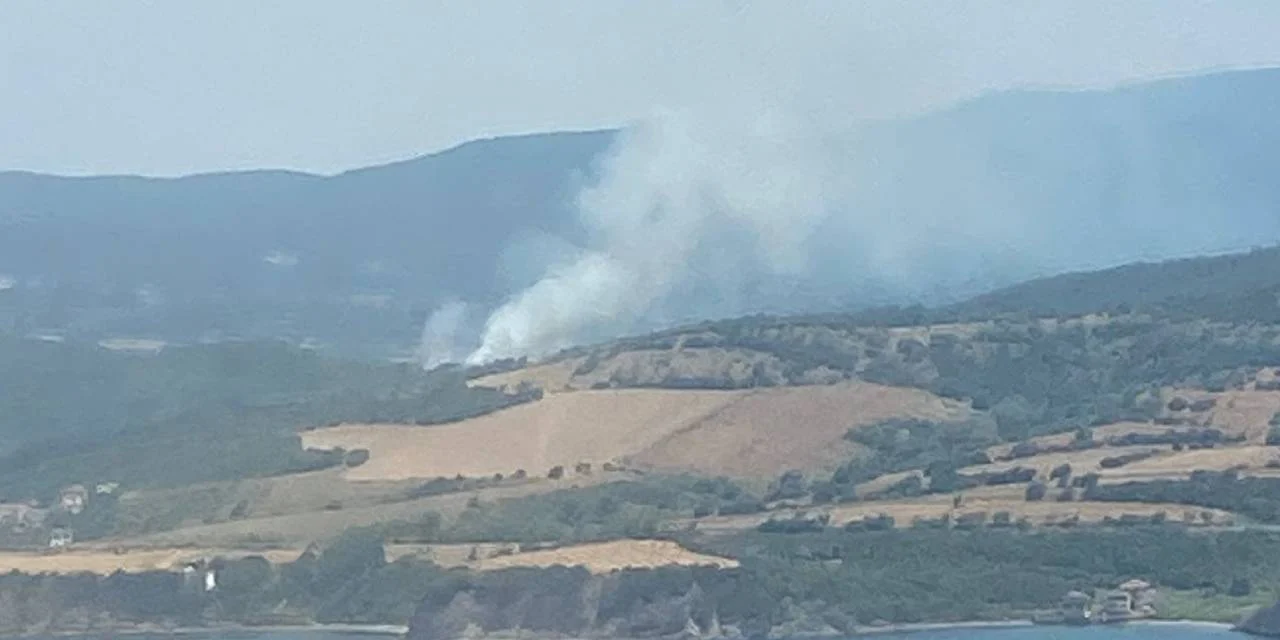 Çanakkale'de Orman Yangını