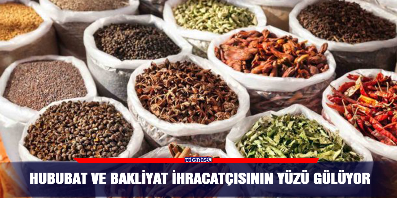 Hububat ve bakliyat ihracatçısının yüzü gülüyor