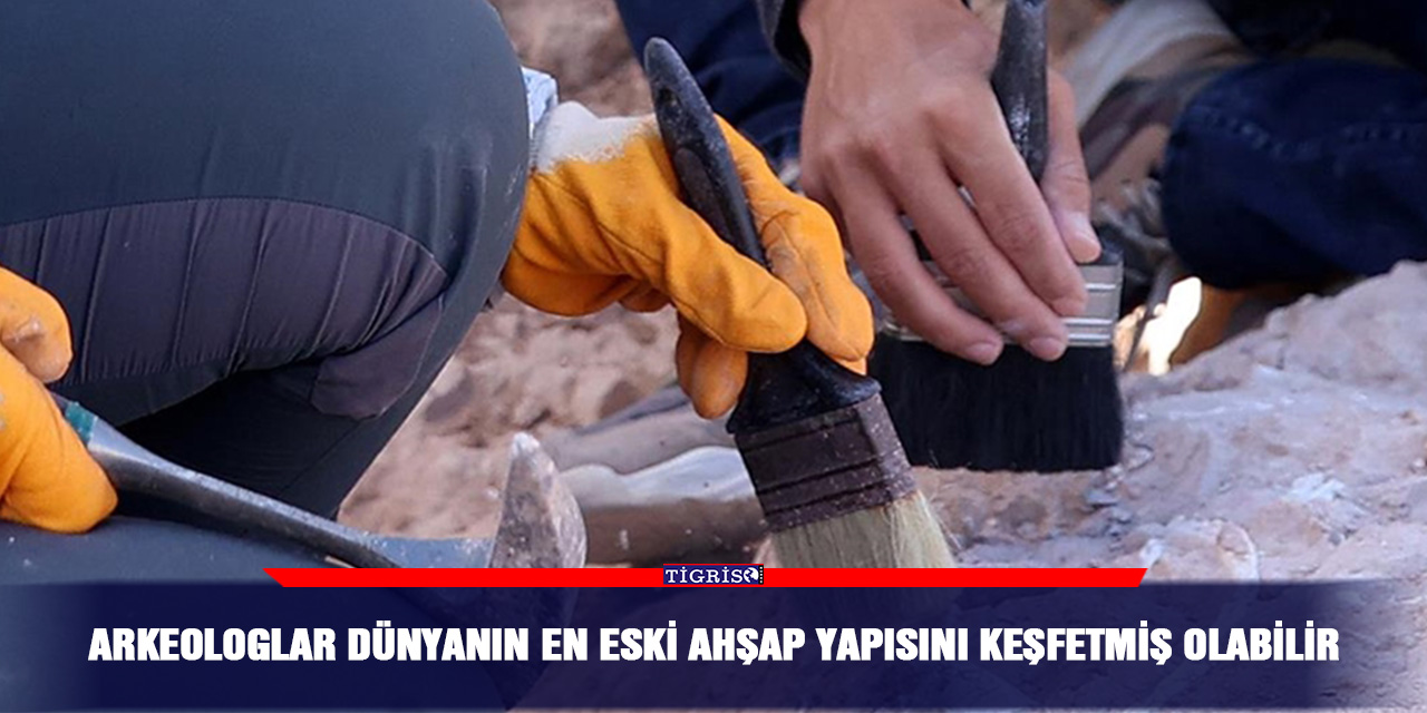 Arkeologlar dünyanın en eski ahşap yapısını keşfetmiş olabilir