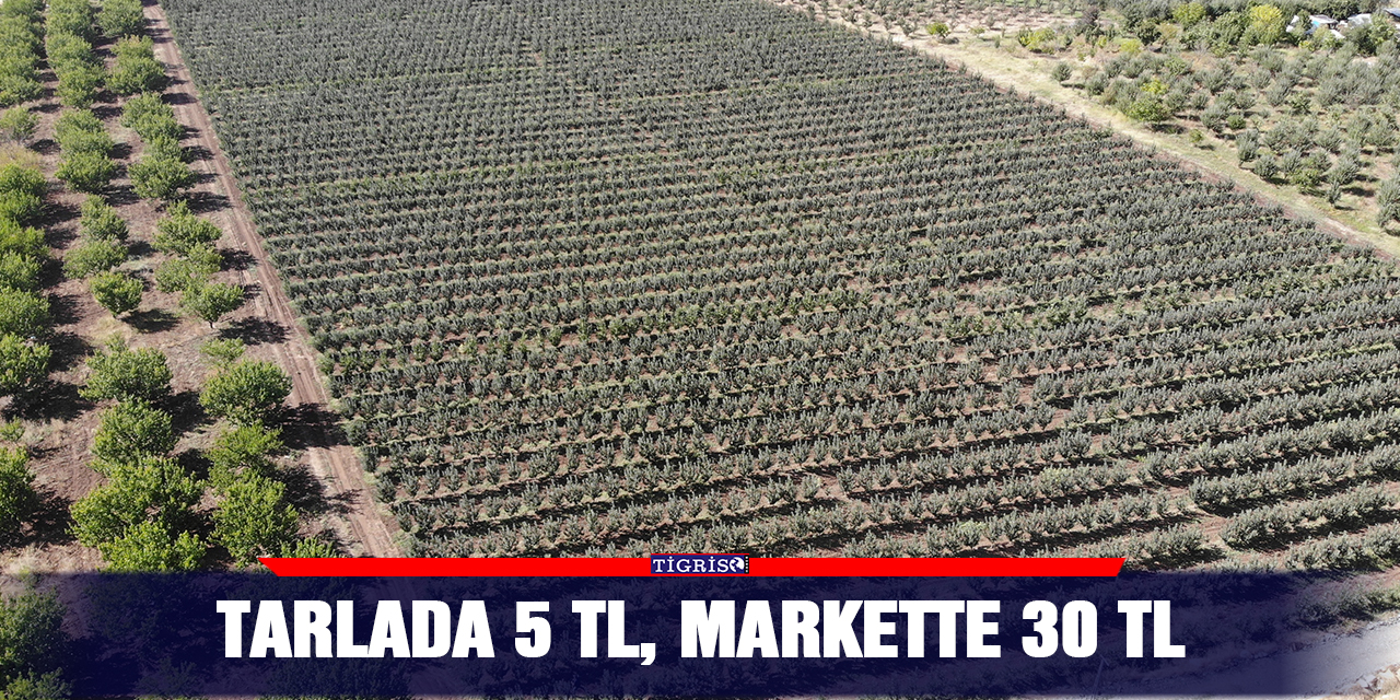 Tarlada 5 TL, markette 30 TL