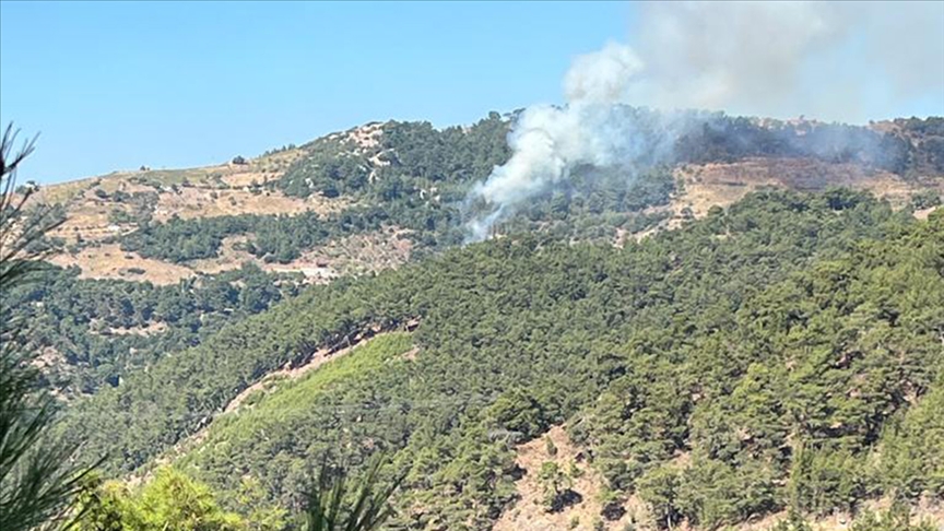 İzmir'de çıkan orman yangınına müdahale ediliyor