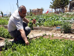 Derslerin stresini hobi bahçelerinde atıyorlar