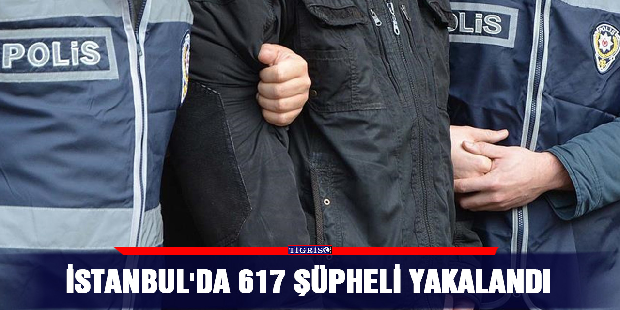 İstanbul'da 617 şüpheli yakalandı