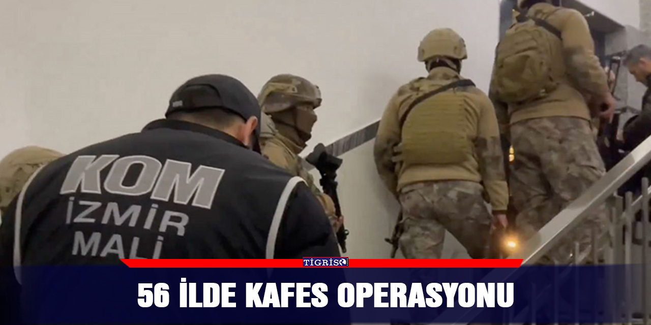 VİDEO - 56 ilde kafes operasyonu