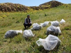 Beytüşşabap'ta yeni bir toplu mezar