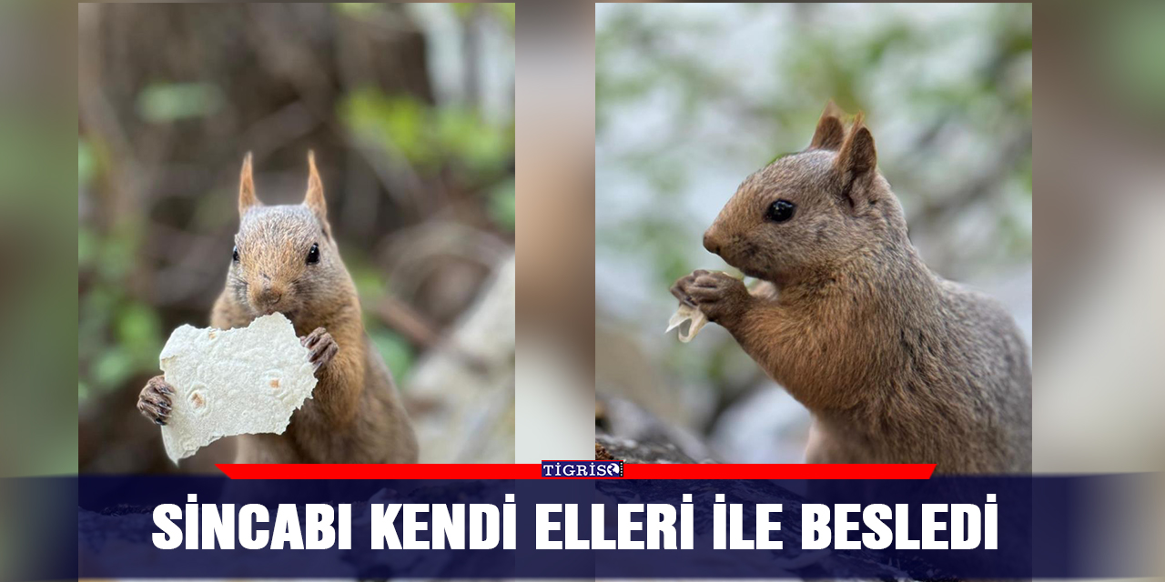 Sincabı kendi elleri ile besledi