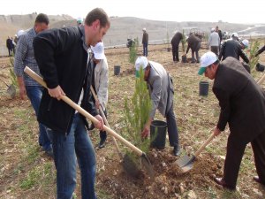 DSİ Silvan barajı etrafında fidan dikti