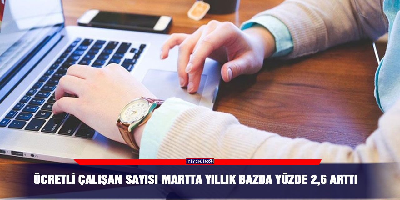 Ücretli çalışan sayısı martta yıllık bazda yüzde 2,6 arttı