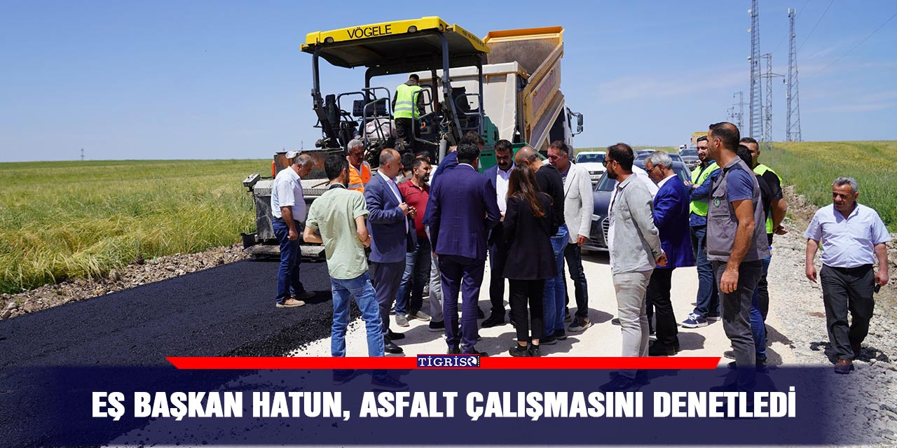 Eş Başkan Hatun, asfalt çalışmasını denetledi