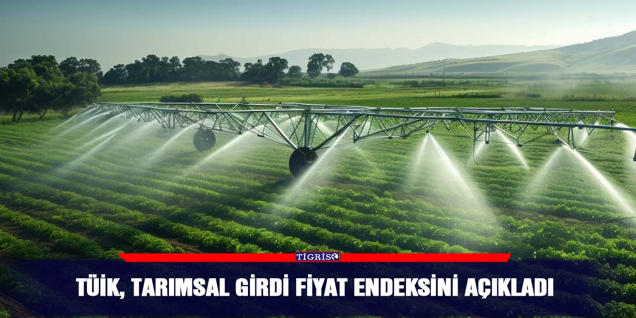 TÜİK, Tarımsal girdi fiyat endeksini açıkladı