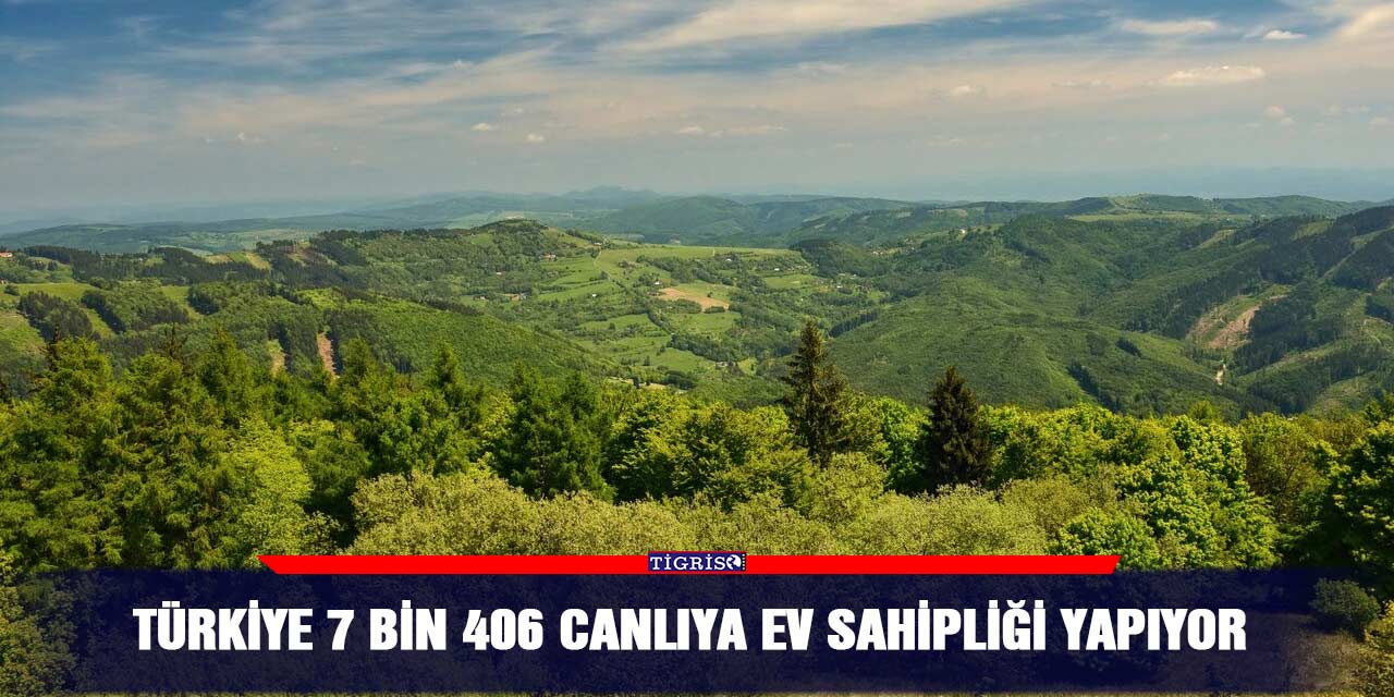 Türkiye 7 bin 406 Canlıya ev sahipliği yapıyor