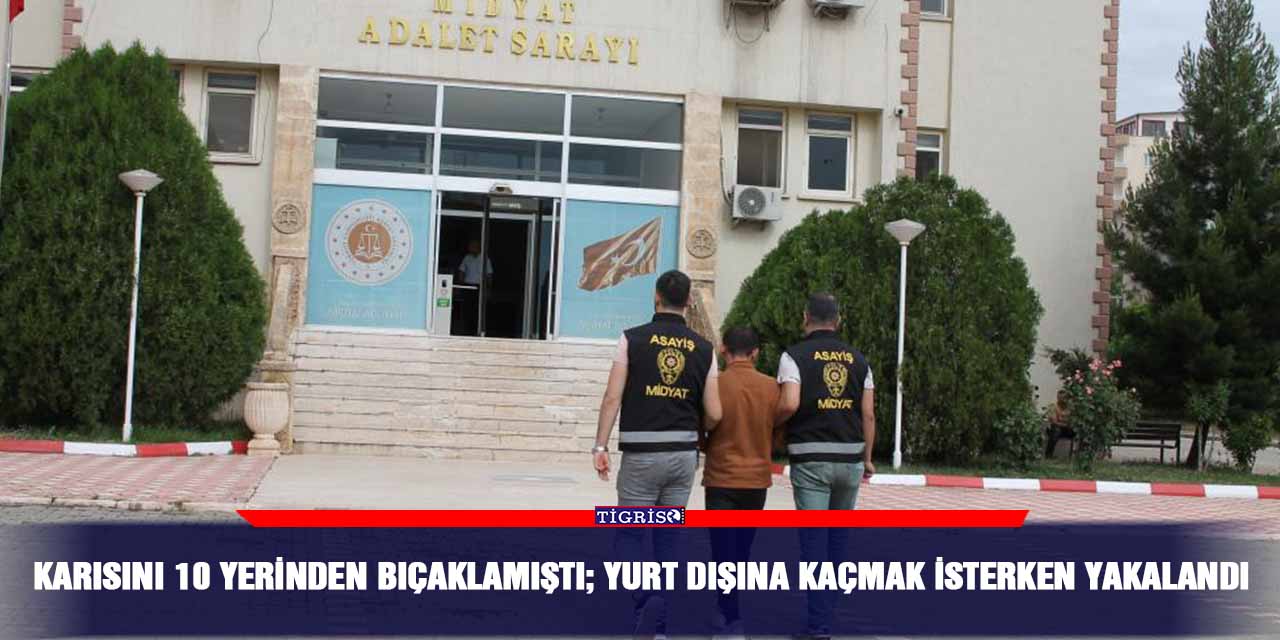 Karısını 10 yerinden bıçaklamıştı