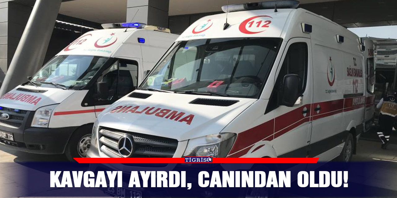 Kavgayı ayırdı, canından oldu!