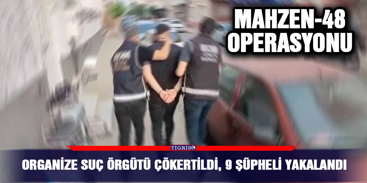 VİDEO - Organize suç örgütü çökertildi, 9 şüpheli yakalandı