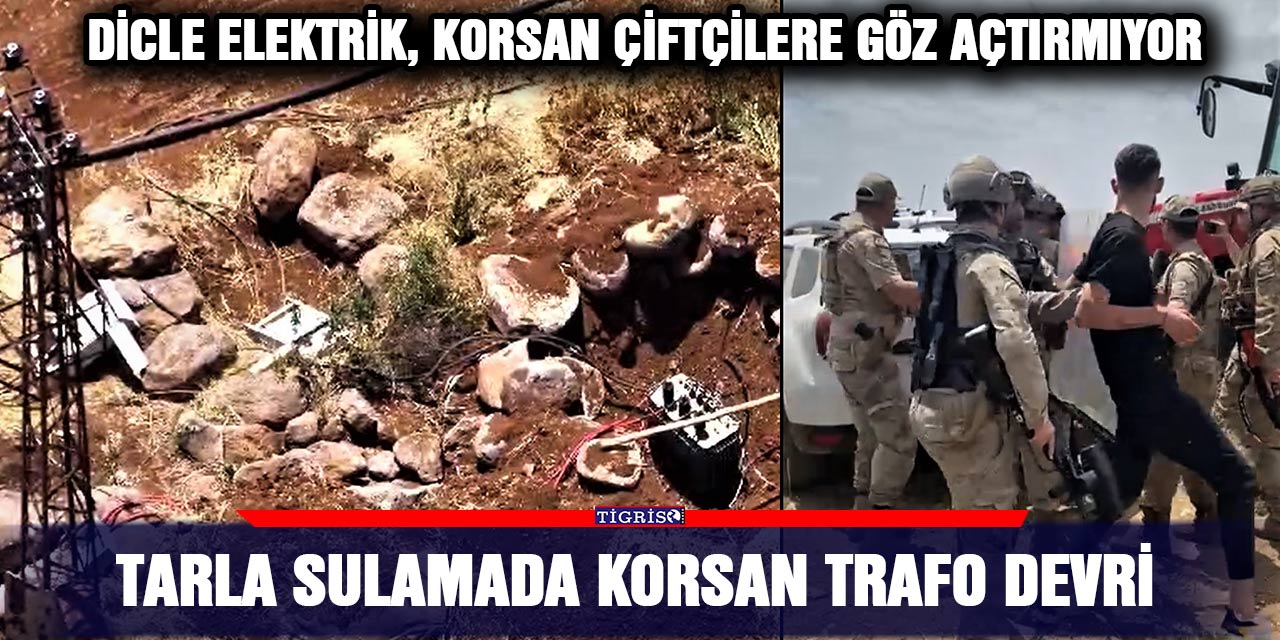 VİDEO - Tarla sulamada korsan trafo devri