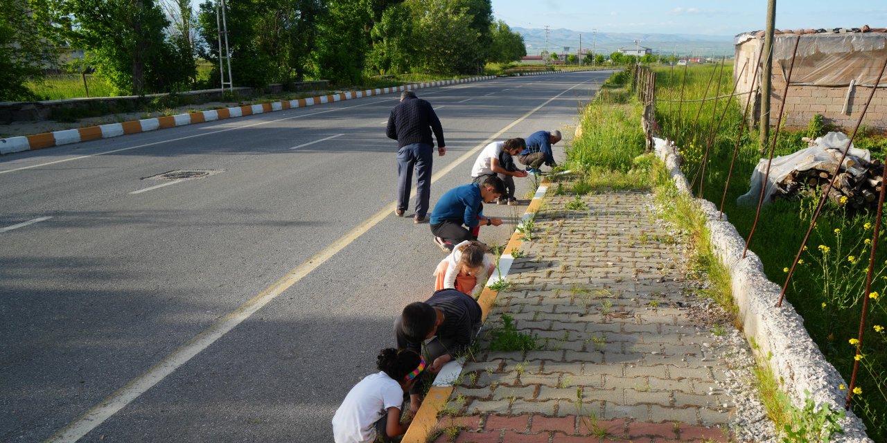 Dolu ile birlikte bilinmeyen yağan cisimler görenleri şaşırttı