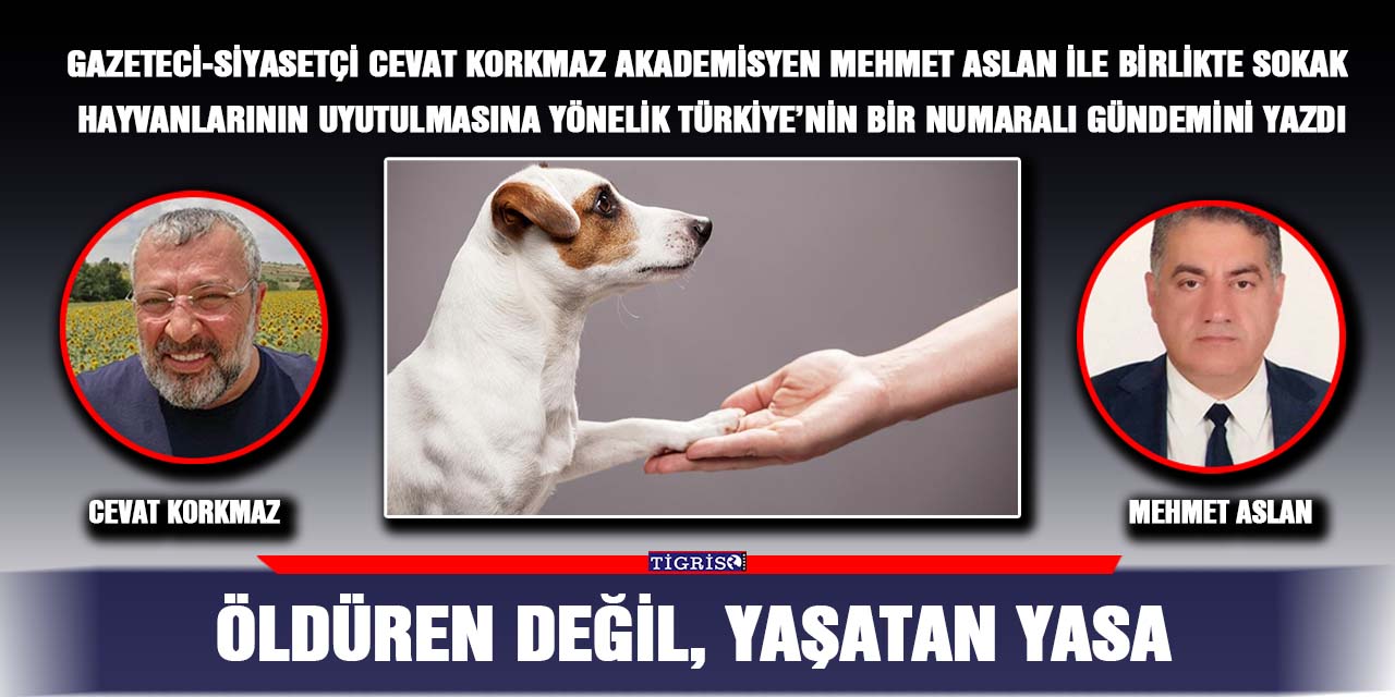 Öldüren değil, yaşatan yasa