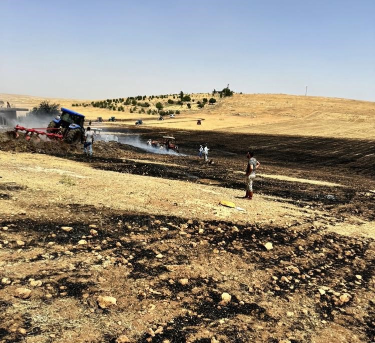 Sınır hattında ekili buğday tarlası küle döndü