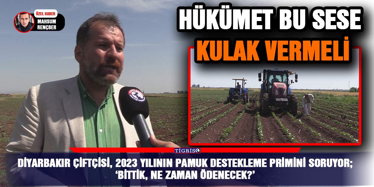 VİDEO - Diyarbakır çiftçisi, 2023 yılının pamuk destekleme primini soruyor; ‘Bittik, ne zaman ödenecek?’