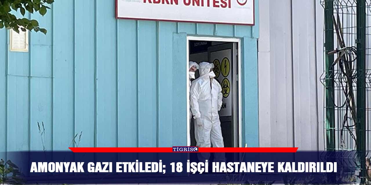 Amonyak gazı etkiledi; 18 işçi hastaneye kaldırıldı