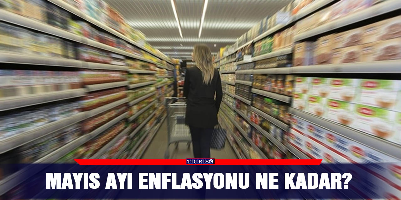 Mayıs ayı enflasyonu ne kadar?