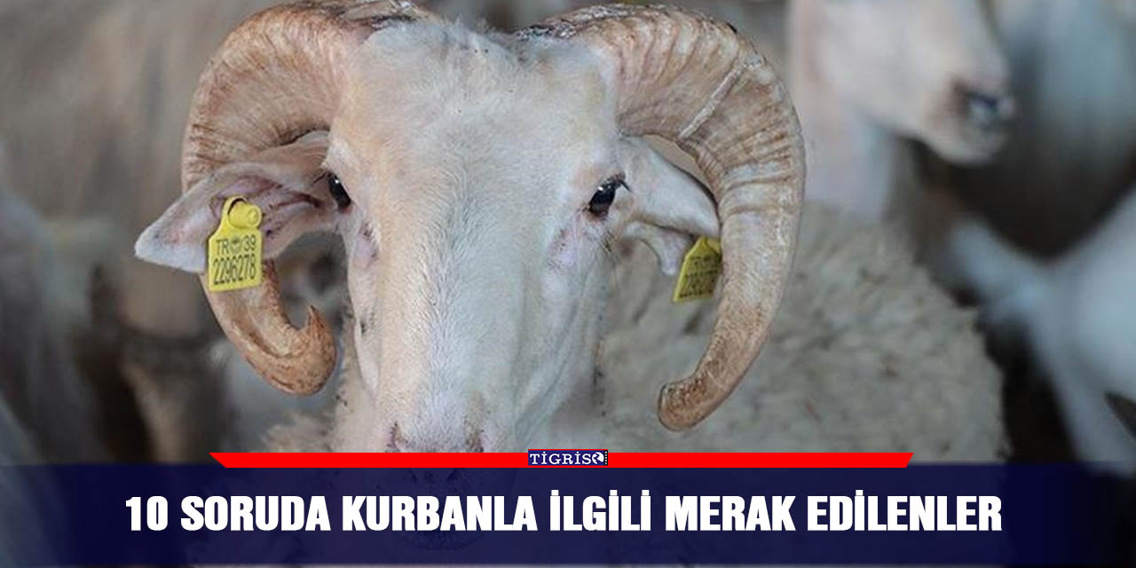 10 soruda kurbanla ilgili merak edilenler