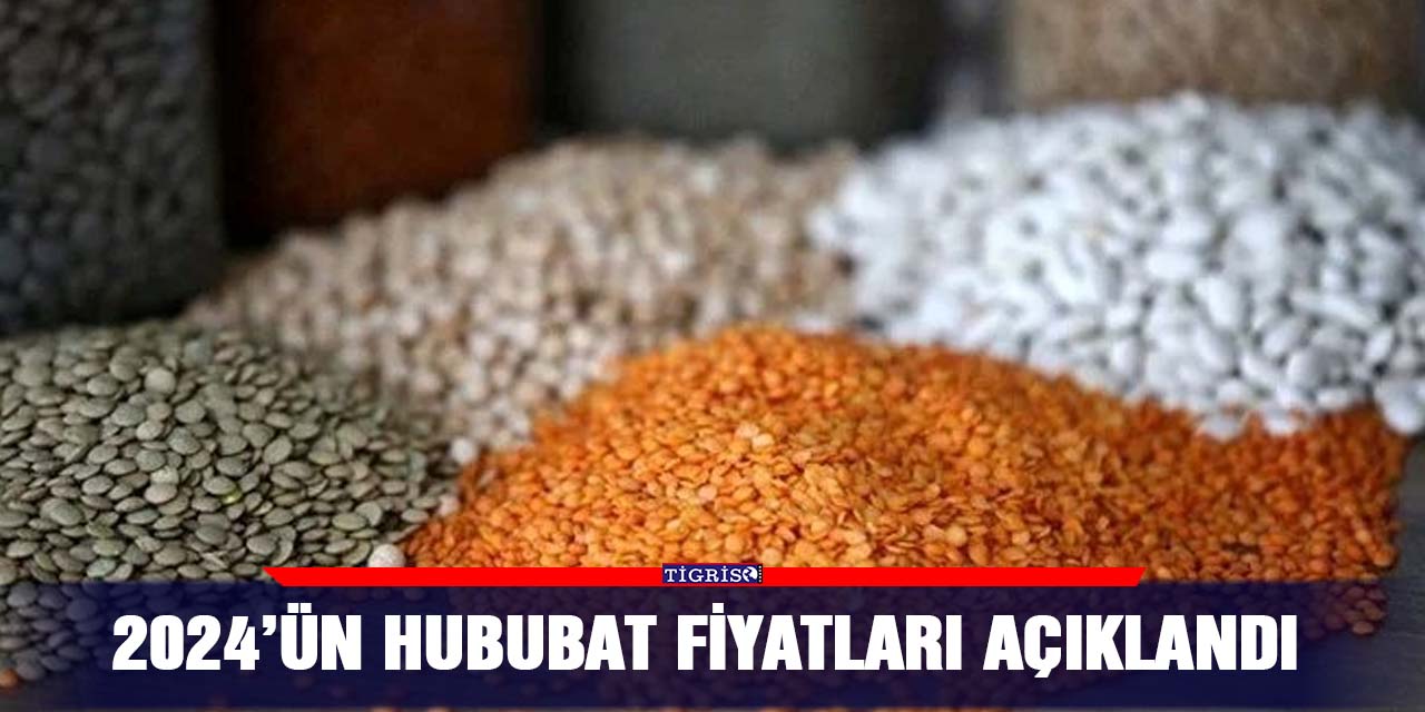 2024’ün hububat fiyatları açıklandı