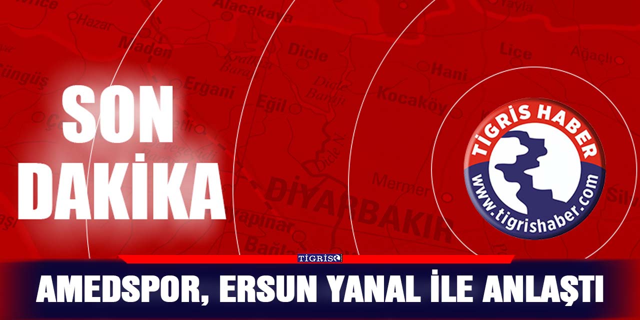 Son dakika...  Amedspor, Ersun Yanal ile anlaştı