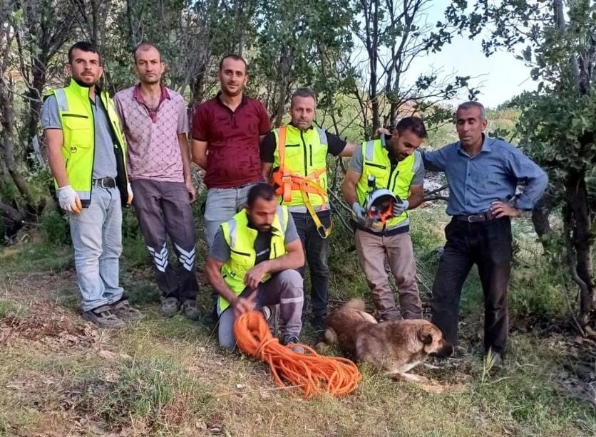 Kuyuya düşen çoban köpeği, ERKUT ekipleri tarafından kurtarıldı