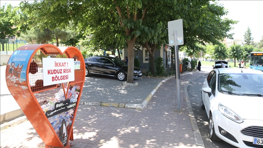 Şanlıurfa'da 2 mahallede kuduz karantinası!