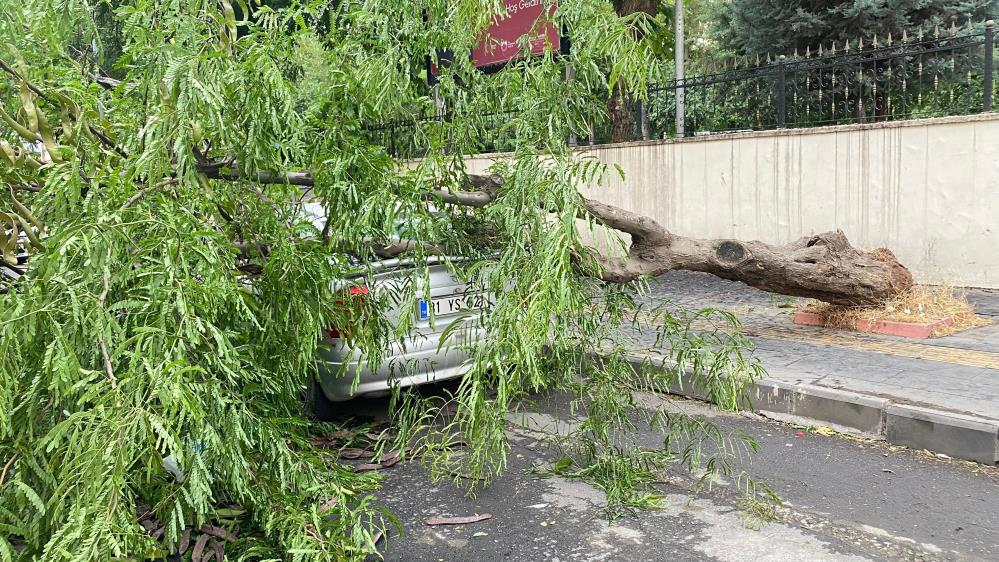 Diyarbakır'da rüzgarın etkisi: Dev ağaç otomobilin üstüne devrildi!