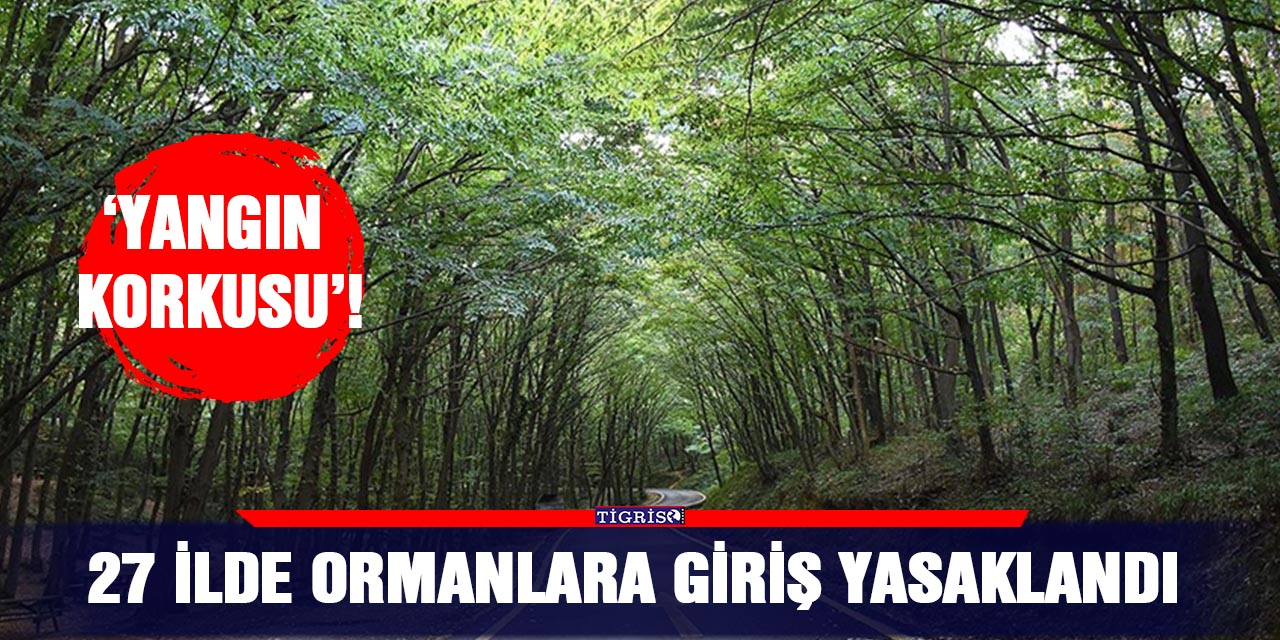 27 ilde ormanlara giriş yasaklandı