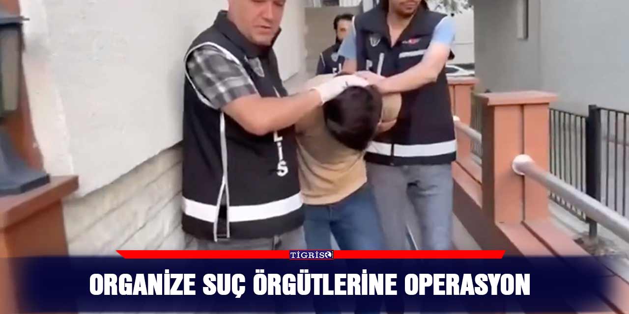 VİDEO - Organize suç örgütlerine operasyon