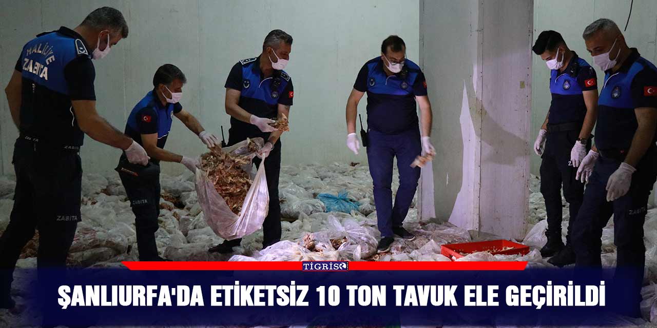 VİDEO - Şanlıurfa'da etiketsiz 10 ton tavuk ele geçirildi