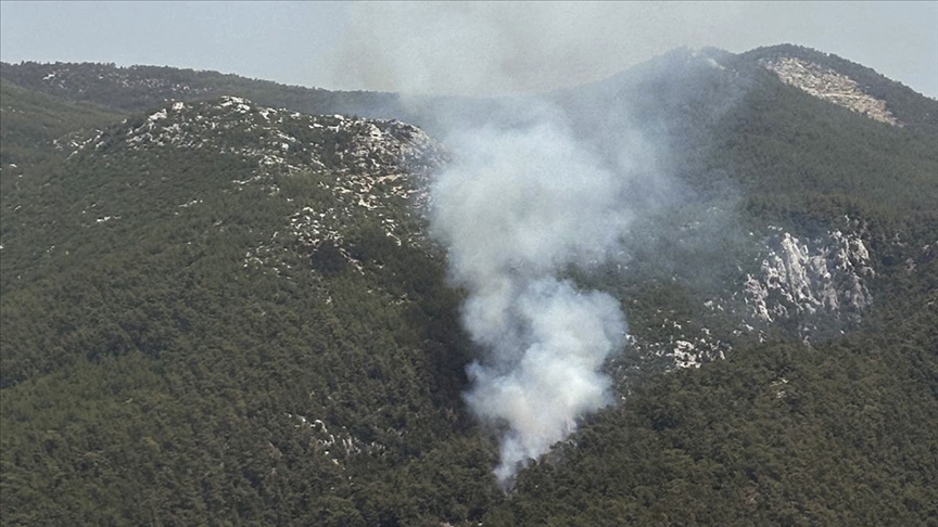 Milas’ta orman yangını